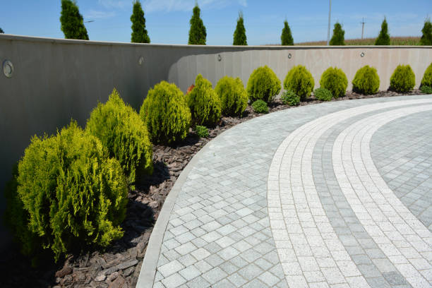 Best Driveway Pavers Near Me  in Augusta, KY