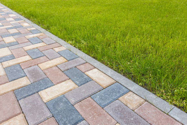 Best Decorative Driveway Pavers  in Augusta, KY